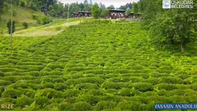 Üsküdar Belediyesi’nin “Yaşasın Anadolu” projesi kapsamında Trabzon tanıtıldı. Üsküdar Belediye