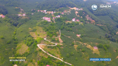 Ordu’nun Kabataş ilçesine bağlı Beylerli Köyü, yeşilin bin bir tonuyla