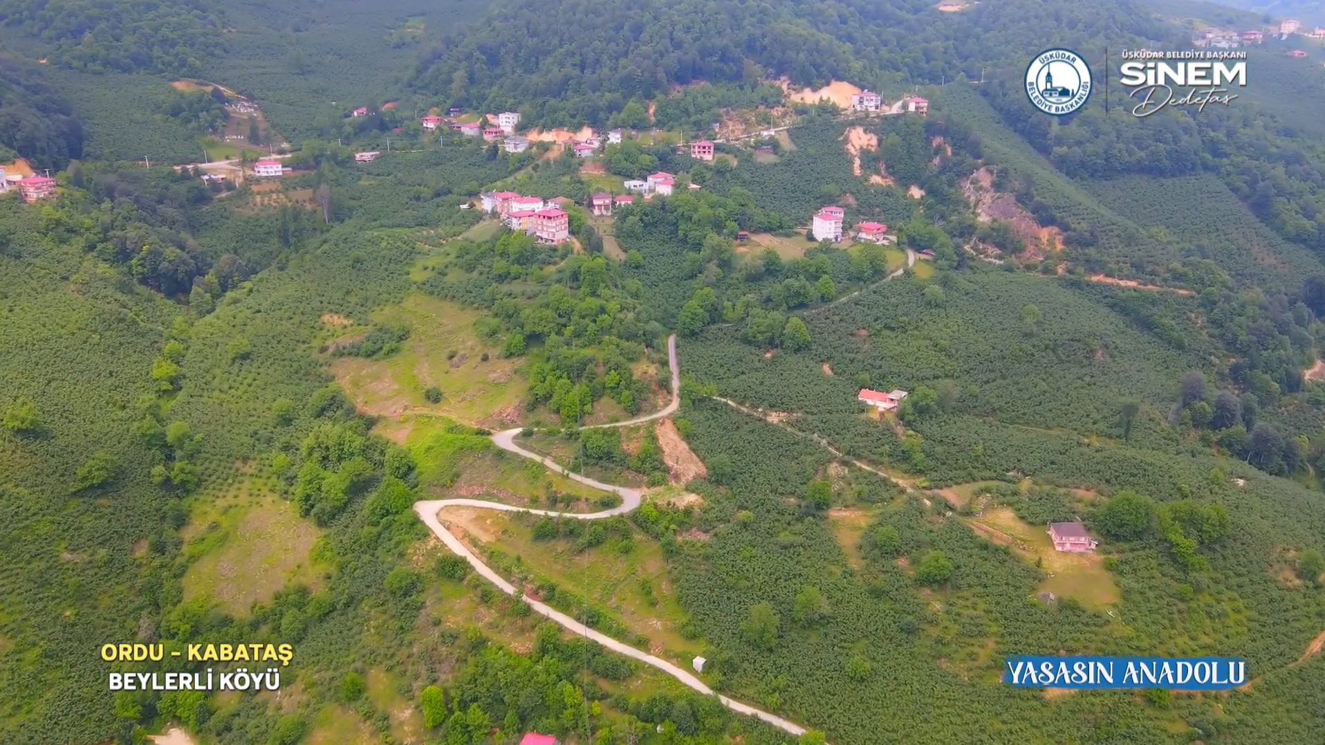 Ordu’nun Kabataş ilçesine bağlı Beylerli Köyü, yeşilin bin bir tonuyla